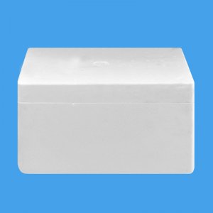 荔枝JIUYOU九游体育(中国区)官方网站